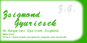 zsigmond gyuricsek business card